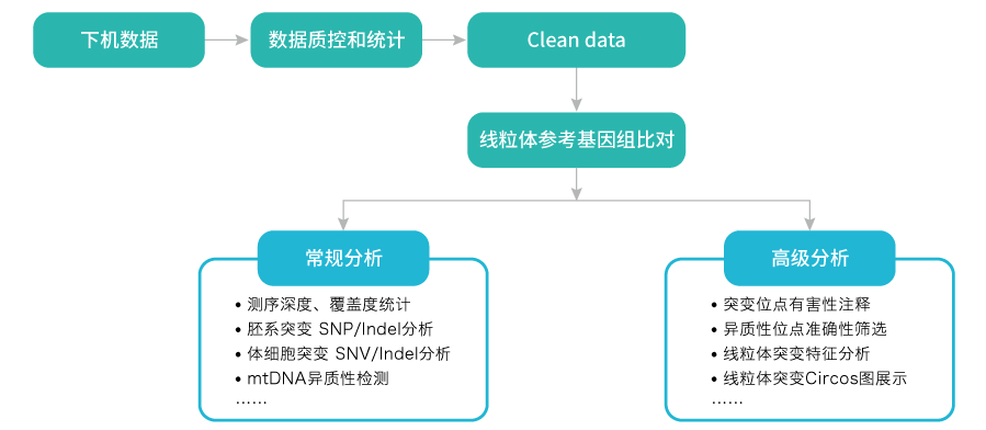 线粒体突变分析-数据分析-OKPay钱包基因