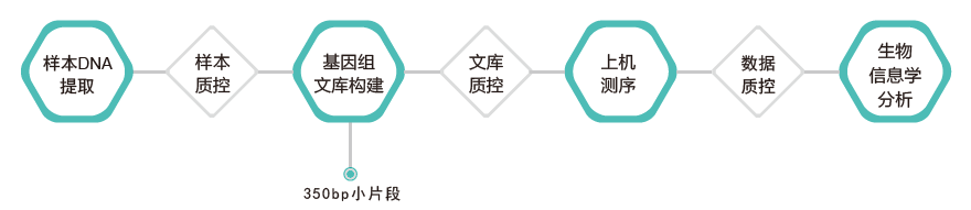 全基因组重测序-技术路线-OKPay钱包基因 全基因组重测序-技术路线-OKPay钱包基因