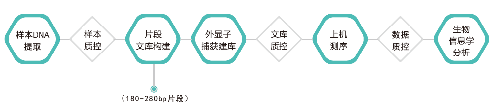 全外显子测序-技术路线-OKPay钱包基因 全外显子测序-技术路线-OKPay钱包基因