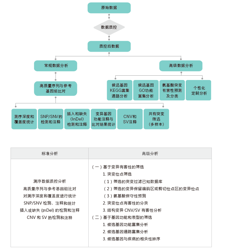 全外显子测序-生信分析流程-OKPay钱包基因 全外显子测序-生信分析流程-OKPay钱包基因