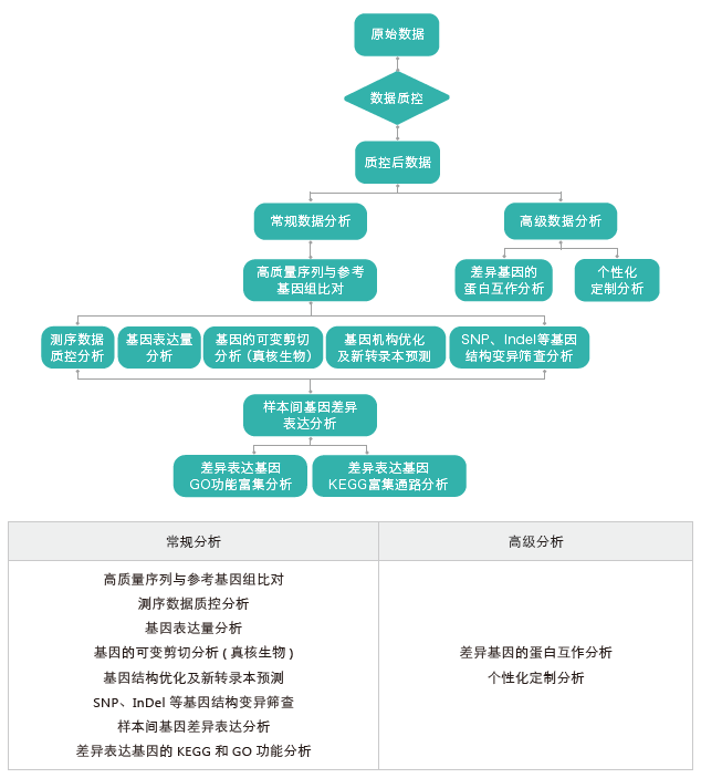 转录组测序-生信分析流程（有参）-OKPay钱包基因