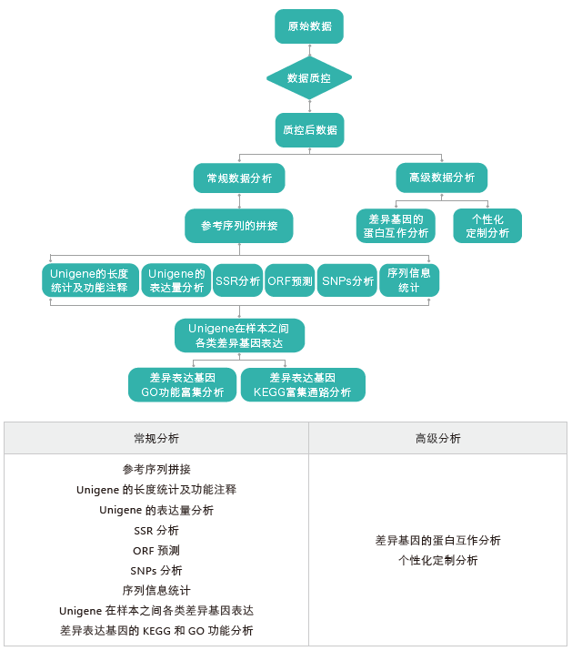转录组测序-生信分析流程（无参）-OKPay钱包基因