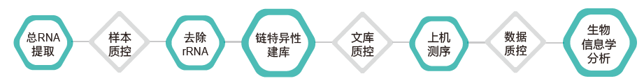 长链非编码RNA（lncRNA）测序-技术路线-OKPay钱包基因