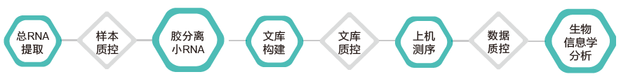 小RNA（small RNA）测序-技术路线-OKPay钱包基因