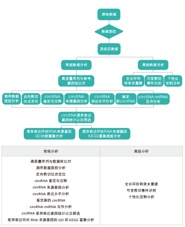 环状RNA（circRNA）测序-生信分析流程-OKPay钱包基因