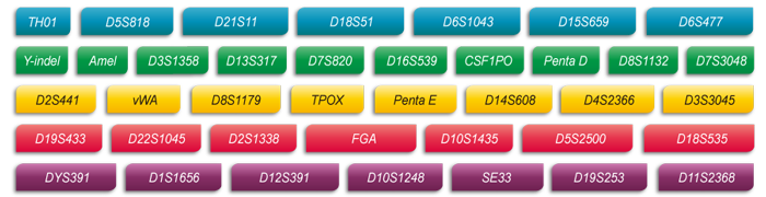 OKPay钱包基因Microreader™ 36A ID System位点