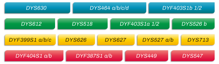 MicroreaderTM-RM-Y-ID-System位点信息_家系排查中如何运用好RM Y-STR?_OKPay钱包基因 MicroreaderTM-RM-Y-ID-System位点信息_家系排查中如何运用好RM Y-STR?_OKPay钱包基因